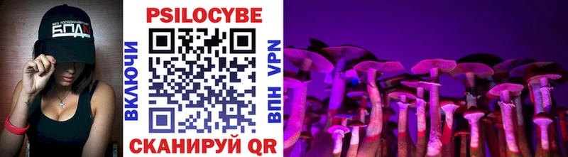 Галлюциногенные грибы Cubensis  наркошоп  Пласт 
